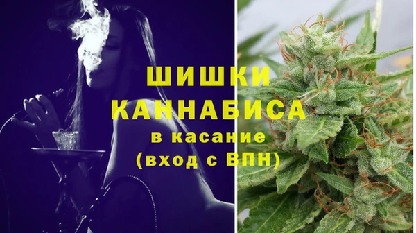 трава Абаза
