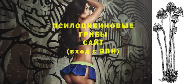 синтетический гашиш Алексеевка