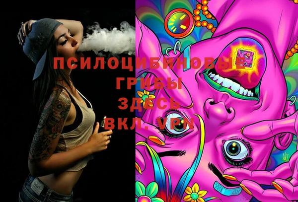 трава Абаза