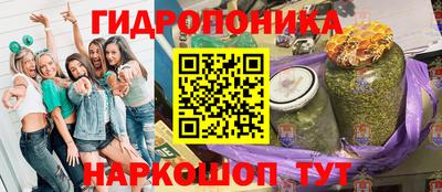 трава Кингисепп