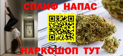 сатива Кимры