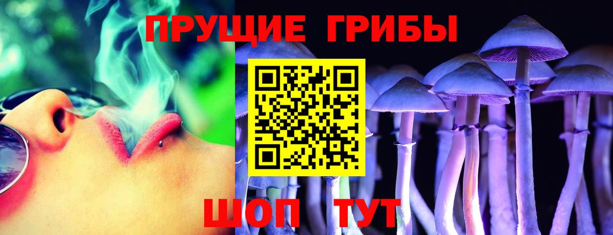 Котлас  Псилоцибиновые грибы Psilocybine cubensis  Вход с VPN  Псилоцибиновые грибы Psilocybine cubensis 