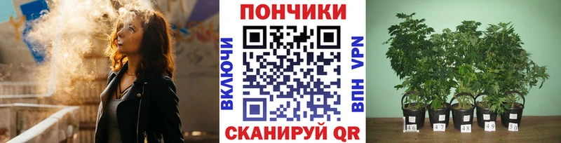 MEGA   Котлас  Бошки марихуана VHQ 